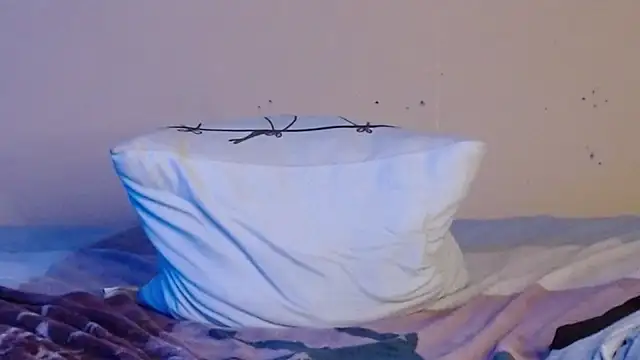 daiki sx online show from 01/08/25, 06:20