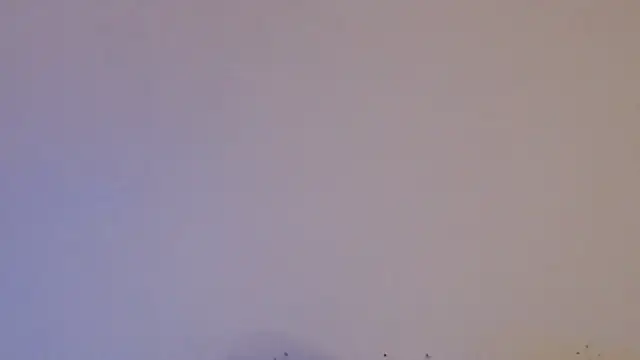 daiki sx online show from 01/24/25, 01:47