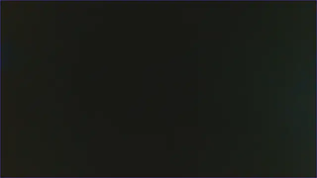 Geisha Seniers online show from 02/11/25, 06:44