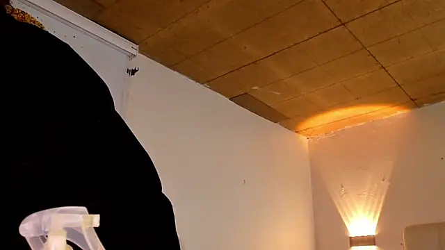 loly marce online show from 03/22/25, 02:37