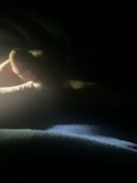 joeycbigcock online show from 04/22/26, 02:25