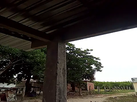 natally ross21 online show from 12/21/25, 12:01