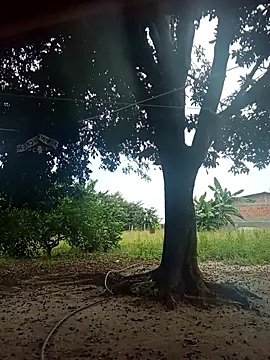 natally ross21 online show from 02/09/26, 01:26