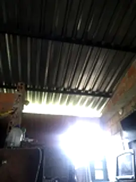 natally ross21 online show from 04/17/26, 11:57