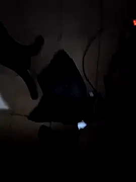 everyoneneeds online show from 12/26/24, 07:03