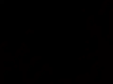 thatdude9 9 9 online show from 03/31/26, 10:48