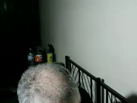 100Tauros online show from 02/05/26, 10:36