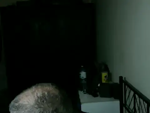 100Tauros online show from 04/17/26, 11:46