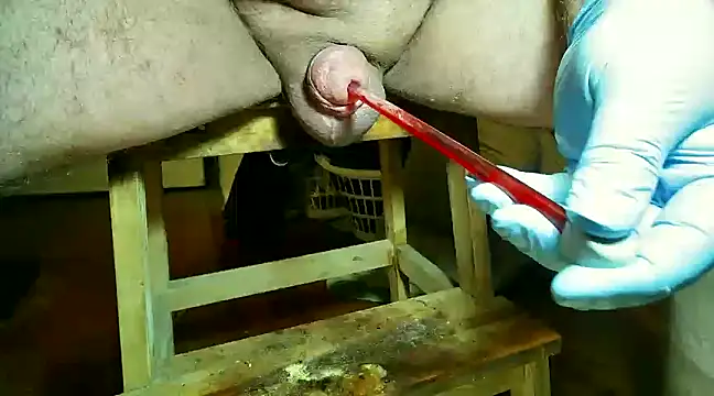 CBT FUN TIME online show from 03/14/25, 07:34