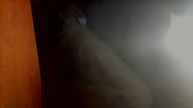 Snapshot of nice6incs chatting on 11/05/25, 11:05 nice6incs online show from 11/05/25, 11:05