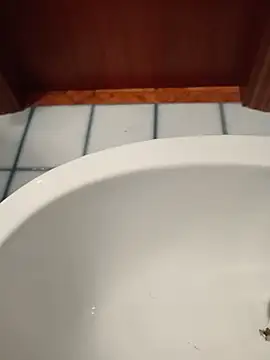 Durovoglioso2 online show from 03/15/26, 07:14