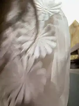 Efangfang online show from 02/16/25, 08:43