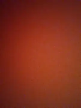 Snapshot of mendelicius chatting on 01/11/25, 12:18 mendelicius online show from 01/11/25, 12:18