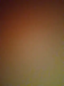 Snapshot of mendelicius chatting on 02/27/25, 06:09 mendelicius online show from 02/27/25, 06:09