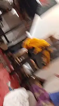 Snapshot of emma_neko chatting on 11/22/25, 06:40 emma neko online show from 11/22/25, 06:40