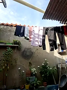 room 24funn online show from 01/10/26, 08:32