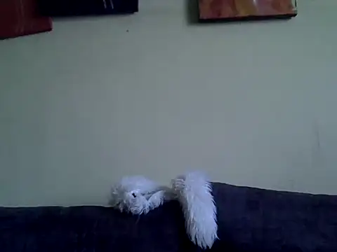 Snapshot of Delicious-D chatting on 02/10/26, 04:49 Delicious-D online show from 02/10/26, 04:49