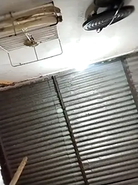 Andreita 95 online show from 03/01/26, 03:14