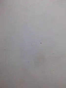 AmnionicDemeanor online show from 10/31/25, 04:24