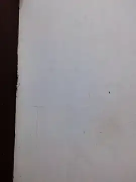 AmnionicDemeanor online show from 11/02/25, 11:56