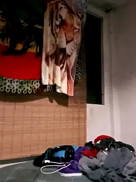 LECHEBALLS online show from 01/29/25, 02:19