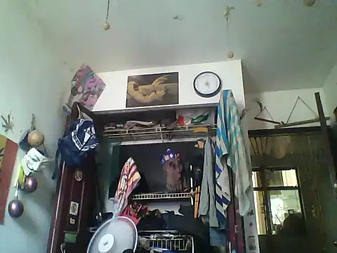 LECHEBALLS online show from 05/05/26, 05:21