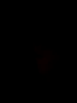 Ner0924 N online show from 12/02/24, 04:31