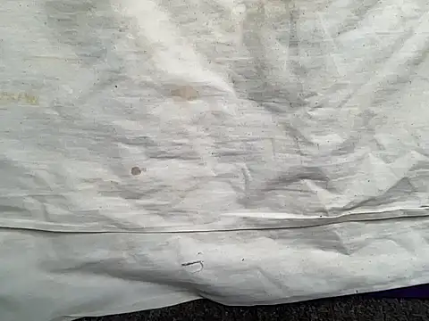 beforeyou69 online show from 01/30/25, 01:42