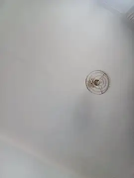 Snapshot of katymojadit chatting on 01/20/25, 03:28 katymojadit online show from 01/20/25, 03:28