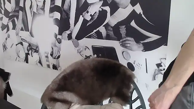 godinflower online show from 02/21/26, 02:18