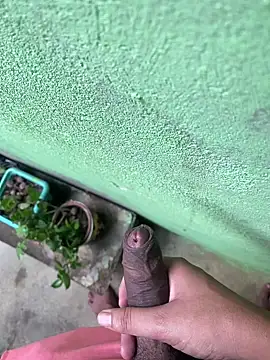 king cum  online show from 12/26/24, 12:16