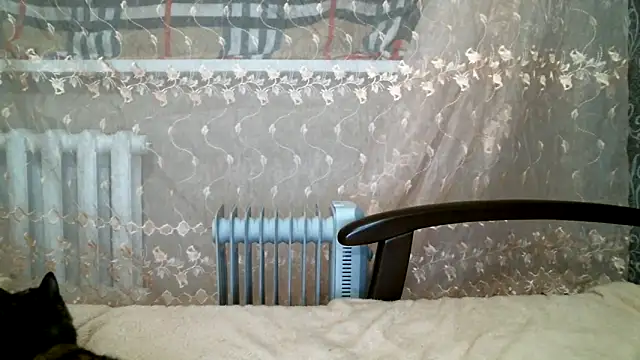 Snapshot of DennisXCaroll chatting on 02/16/25, 06:32 DennisXCaroll online show from 02/16/25, 06:32