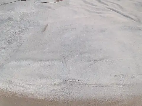 Tequila Bby online show from 12/18/24, 06:10