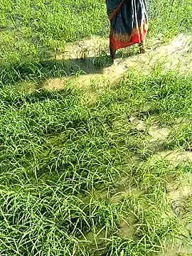 hairipussy2 online show from 02/07/25, 03:55