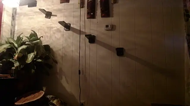 UnCuTupTheBuTT online show from 11/16/25, 09:26