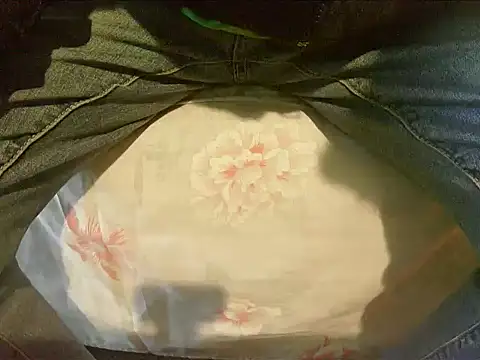 Tiger202441 online show from 12/30/24, 09:48