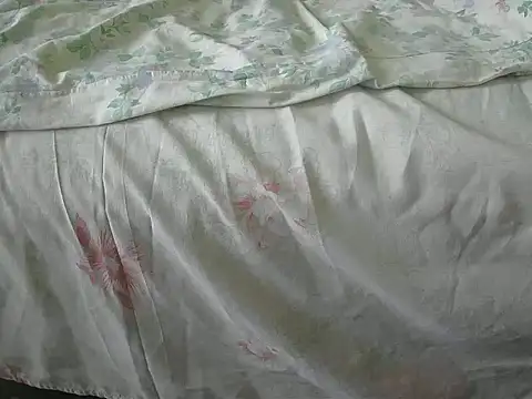 Tiger202441 online show from 12/31/24, 12:04