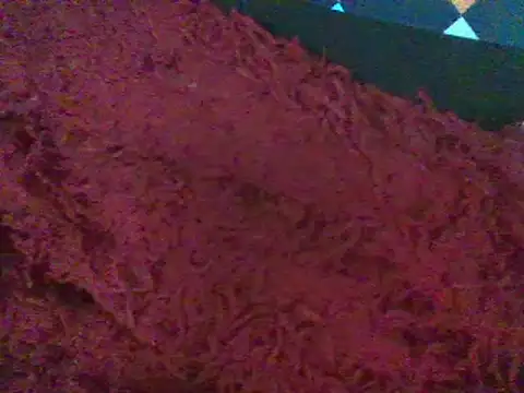 Snapshot of RoxiRedXXX chatting on 01/11/25, 06:12 RoxiRedXXX online show from 01/11/25, 06:12