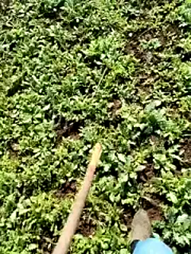 murokkk31 online show from 04/06/26, 06:25