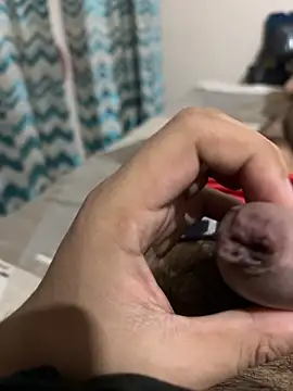 thecockybouy online show from 03/01/25, 04:37