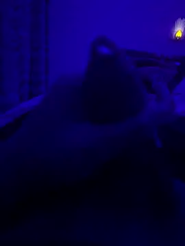 thecockybouy online show from 03/02/25, 01:36