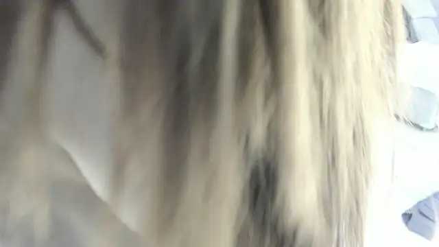 celestica rose online show from 02/02/26, 10:30