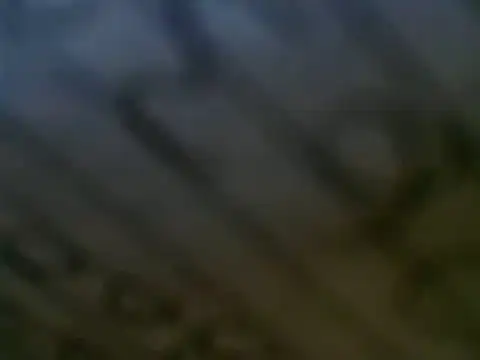 WHITEDAROSE online show from 03/12/25, 07:17