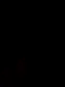 Alanagracia online show from 02/14/25, 11:31