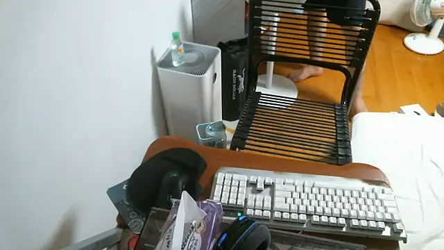 Snapshot of Stellan_0412 chatting on 02/13/26, 05:31 Stellan 0412 online show from 02/13/26, 05:31