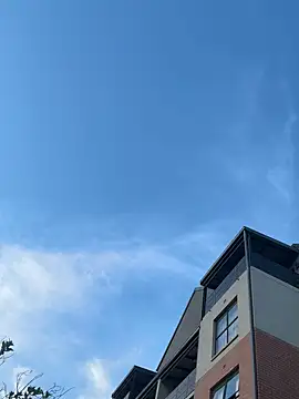 Dime-   online show from 10/10/25, 03:33