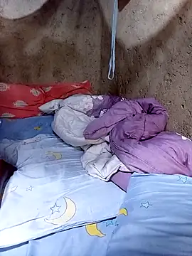 pretty prickle online show from 02/20/26, 08:27