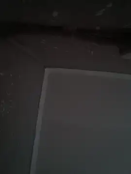 wlammi ptr online show from 12/19/25, 10:22