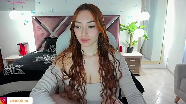  Antonnela  online show from 02/04/26, 08:03