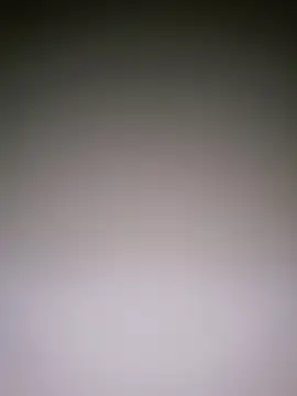 Dorset8360 online show from 01/10/25, 05:02